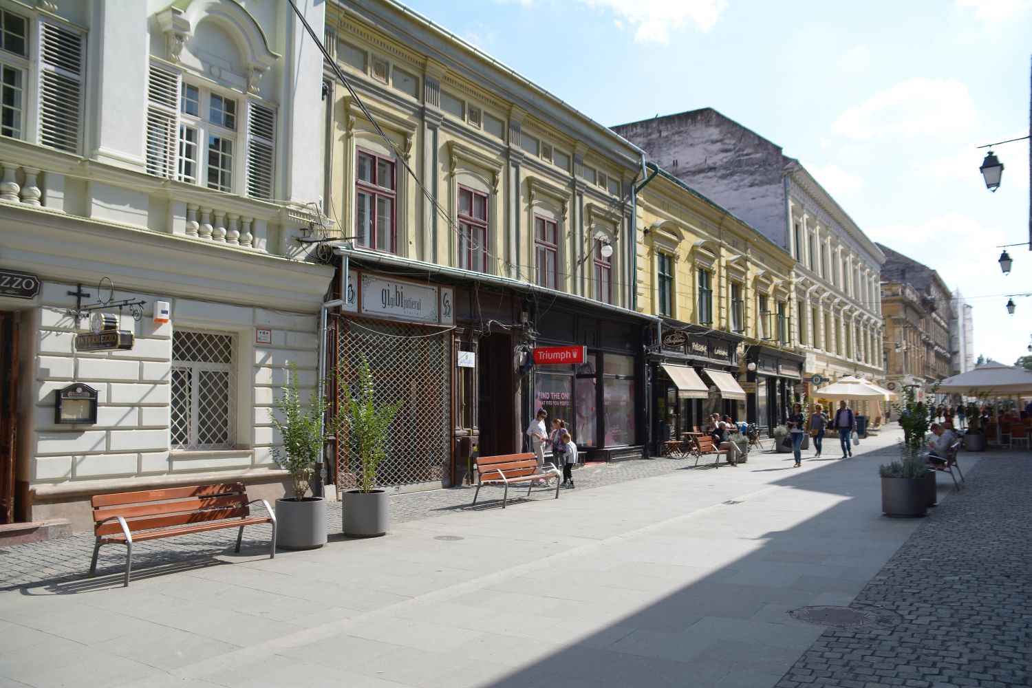Apartment Timisoara